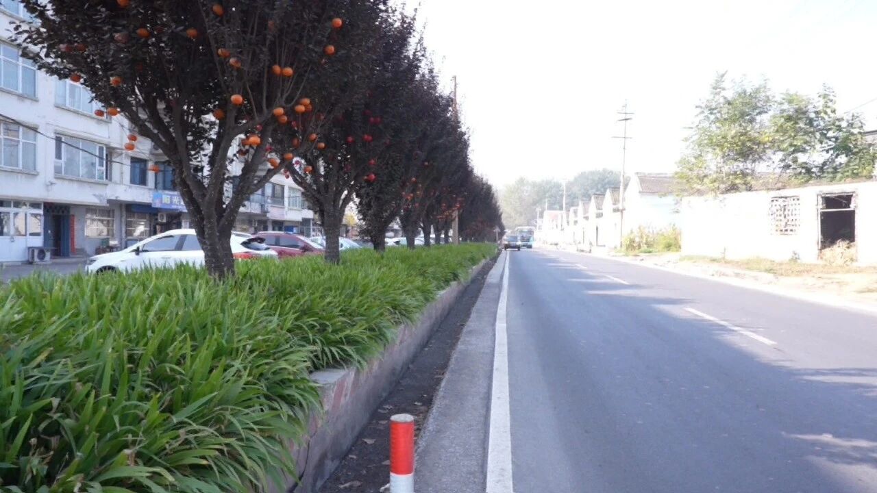 a54f3f9abfa41e76c32f6ac51070aa3f.jpg